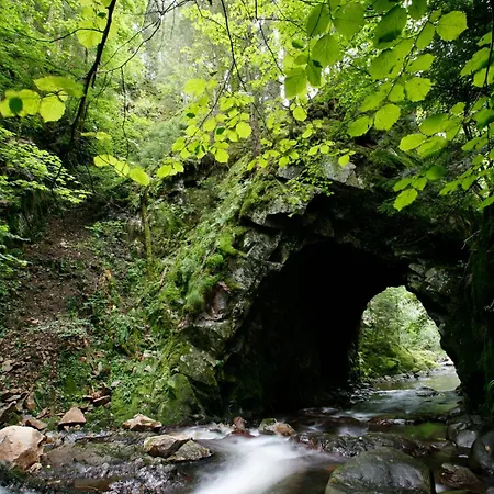 Drei Tannen - 12 - Apartmenthaus, Titisee, Nahe Badeparadies ティティゼー・ノイシュタット