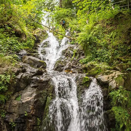 アパート Drei Tannen - 12 - Apartmenthaus, Titisee, Nahe Badeparadies *