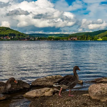 Drei Tannen - 12 - Apartmenthaus, Titisee, Nahe Badeparadies Apartment *