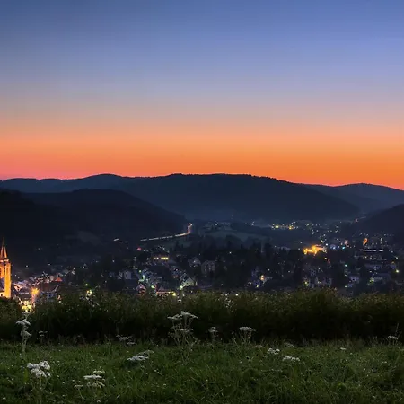 アパート Drei Tannen - 12 - Apartmenthaus, Titisee, Nahe Badeparadies