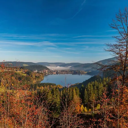 Drei Tannen - 12 - Apartmenthaus, Titisee, Nahe Badeparadies アパート ティティゼー・ノイシュタット